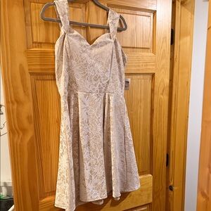Charlotte Russe Cream Floral Lace Mini Dress